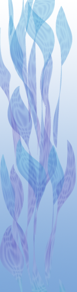 Blue Leaves Side bar graphic