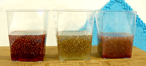 Chia Concentrate Cups