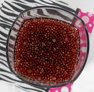 Concentrated Fruit Chia Flavor Glass
