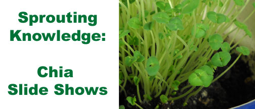 Sprouting Knowledge chia slide show header