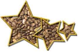 Chia Seed Star Graphic