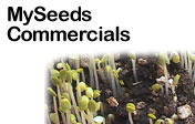 Commercials For MySeeds Thumbnail